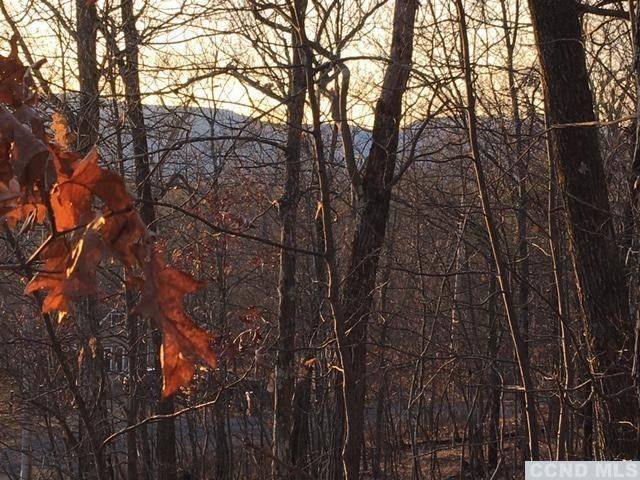 Catskill, NY 12414,0 Easy Street