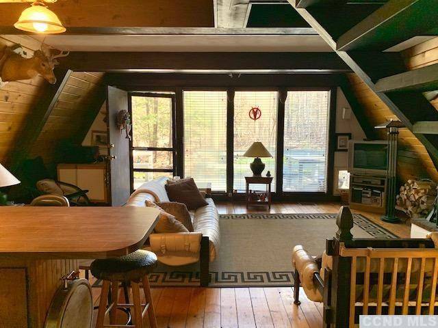 Hunter, NY 12442,21 Pine LN