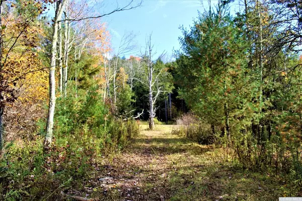 Windham, NY 12496,0 Trail View Ln