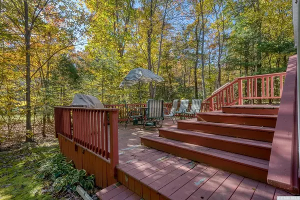 Catskill, NY 12463,27 Hickory Hollow CT