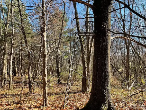 Claverack, NY 12534,735 Gahbauer RD