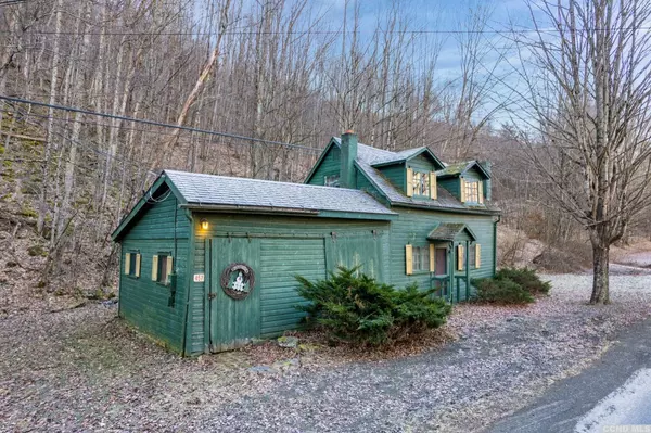 Shandaken, NY 12410,457 Oliverea RD