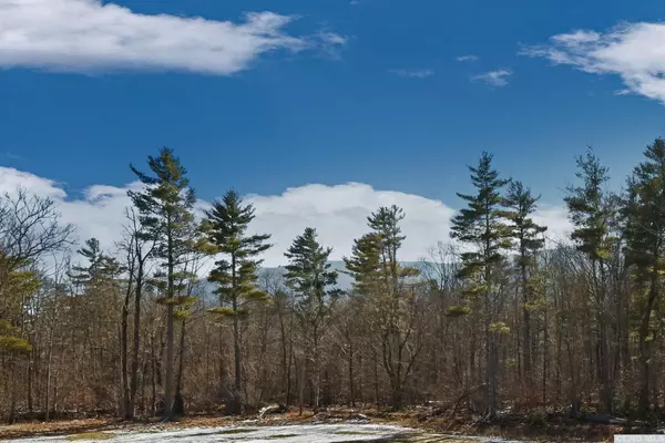 Round Top, NY 12473,66 Stone Mountain RD