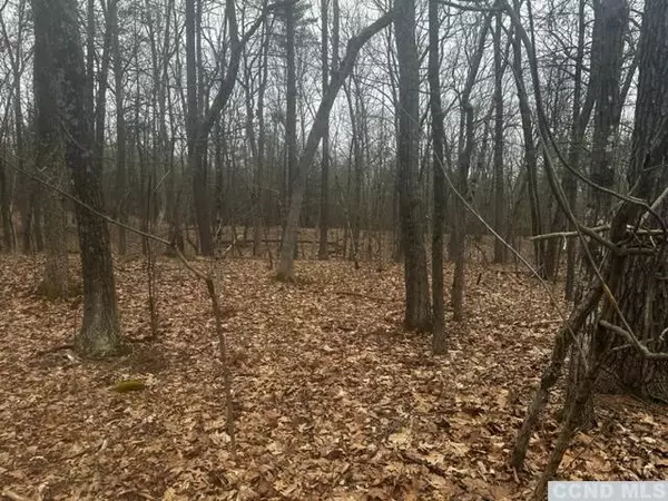 Catskill, NY 12414,0 Five Mile Woods RD #Lot 1