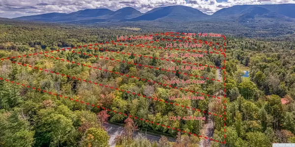 Hunter, NY 12427,625 Clum Hill Rd #Lot 6