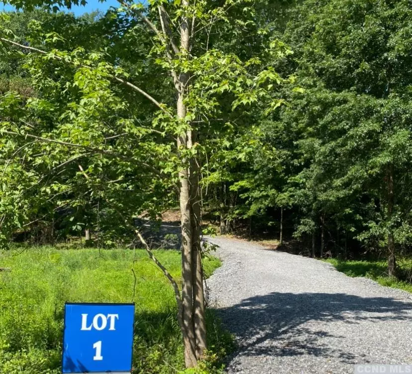 Catskill, NY 12414,0 Forest View DR #Lot 1