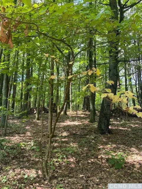 Catskill, NY 12414,0 Forest View DR #Lot 3