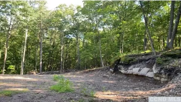 Catskill, NY 12414,0 Forest View DR #Lot 4