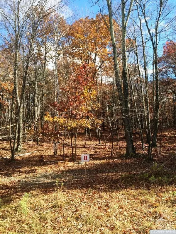 Copake, NY 12521,8 Stonegate off Birch Hill RD #Lot 8