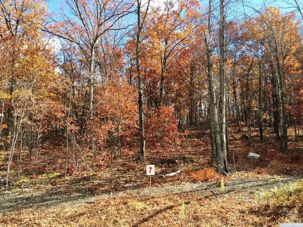 Copake, NY 12521,7 Stonegate off Birch Hill Rd #lot 7