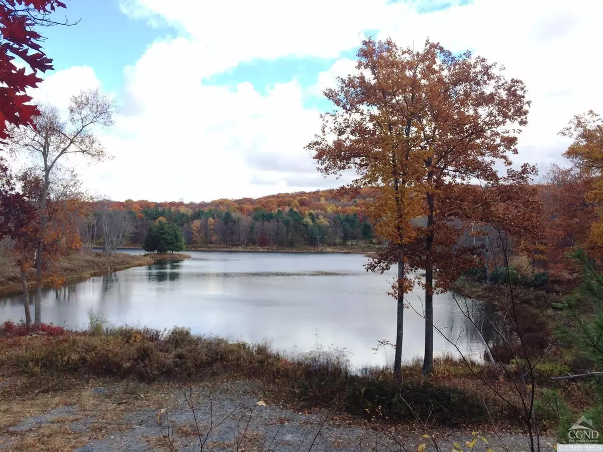 Copake, NY 12521,6 Stonegate off Birch Hill RD #Lot 6