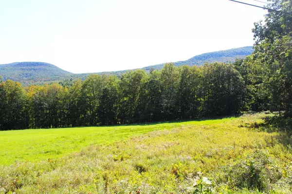 Durham, NY 12422,0 County Route 20 #Lot14