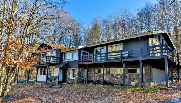 Hunter, NY 12442,181 Mountain DR