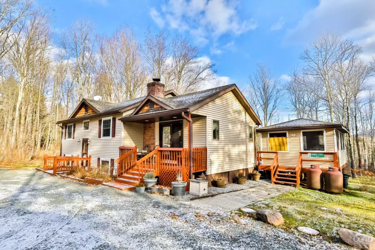 Jewett, NY 12444,46 Cramer RD