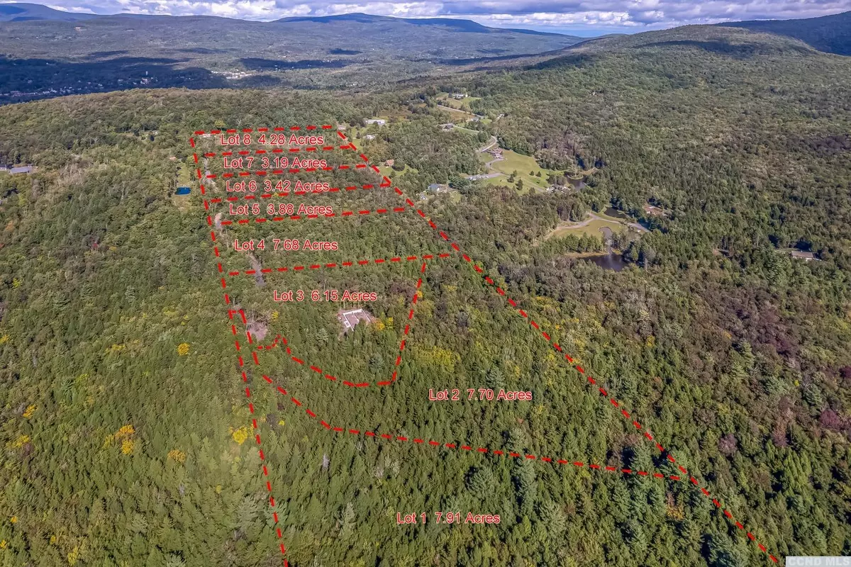 Hunter, NY 12427,625 Clum Hill Rd #Lot 2