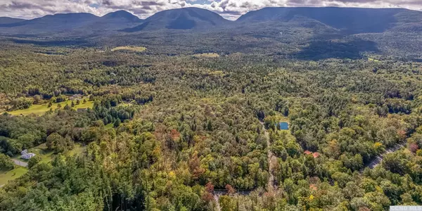 Hunter, NY 12427,625 Clum Hill Rd #Lot 2