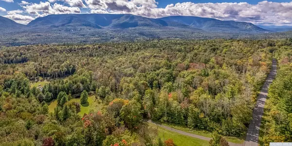 Hunter, NY 12427,625 Clum Hill Rd #Lot 7