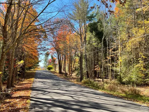 Ashland, NY 12407,557 Campbell RD #Lot 2