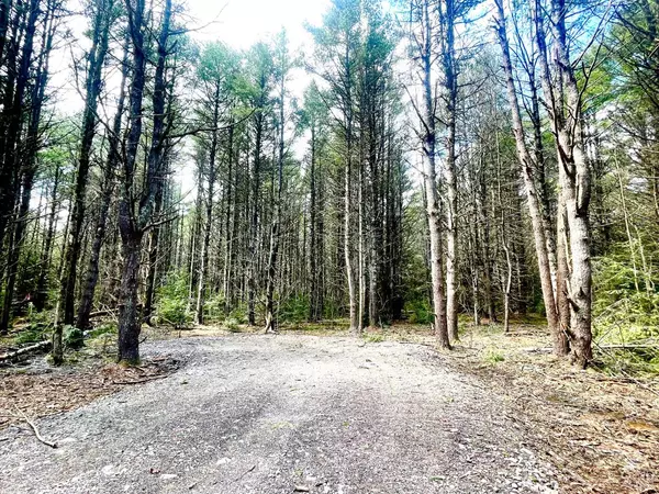 Ashland, NY 12407,511 Campbell #Lot 3