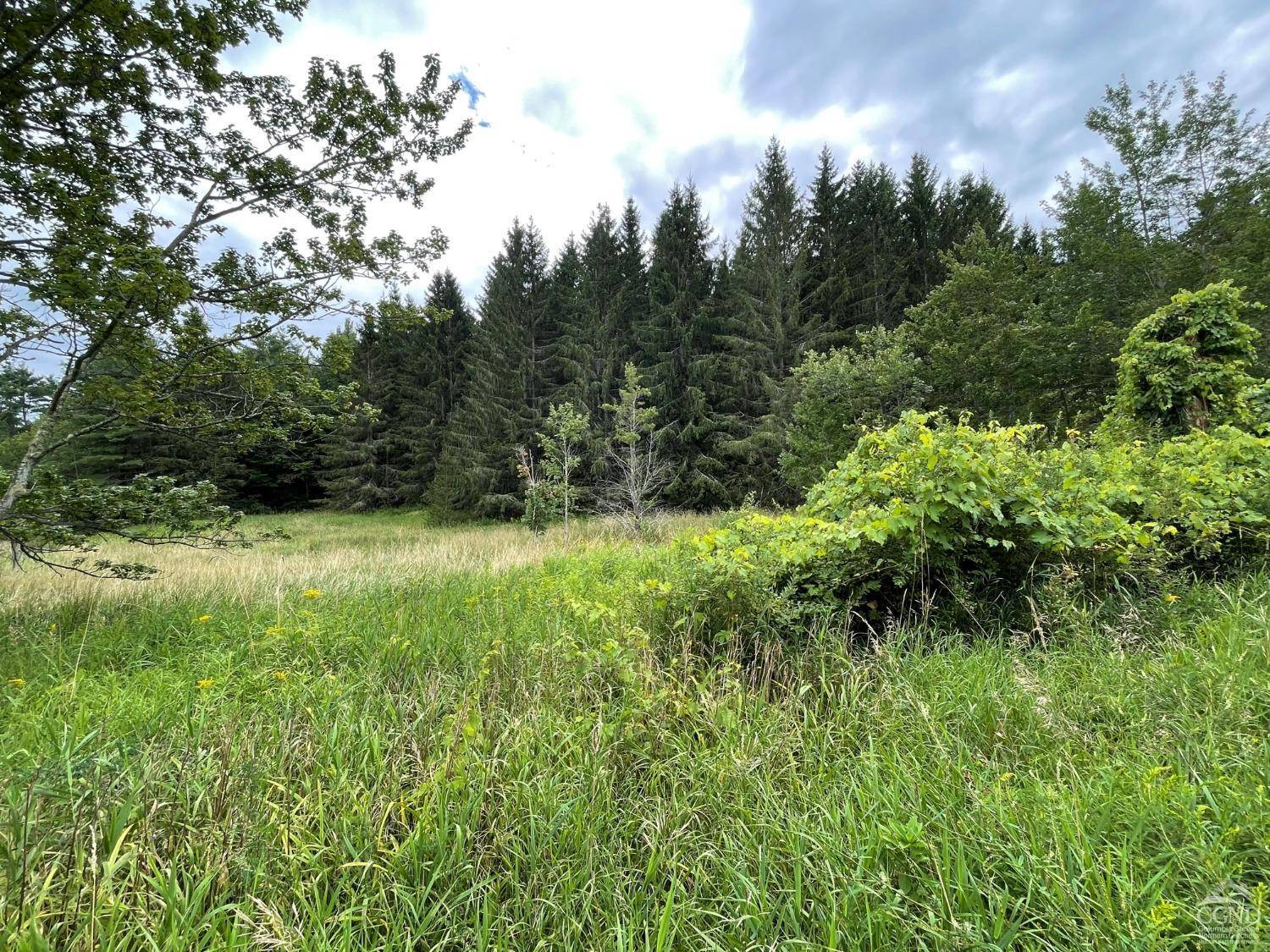 Conesville, NY 12076,0 Bull Hill RD