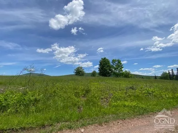 Windham, NY 12496,0 Hayden RD