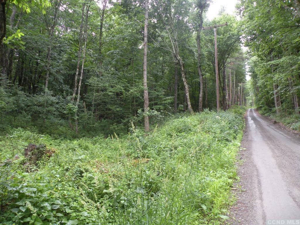 New Lebanon, NY 12125,0 Frenchs  Hill RD