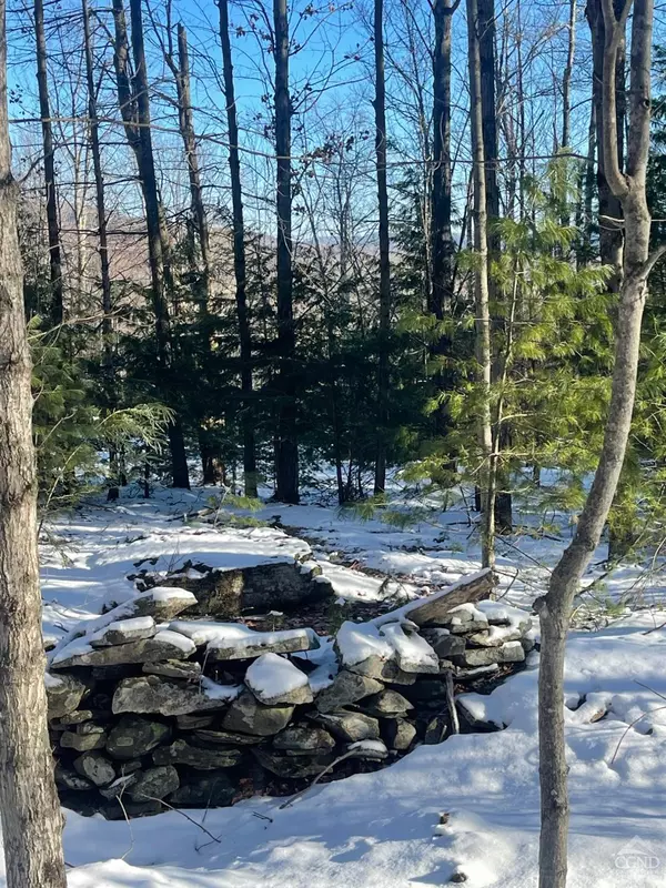 Jewett, NY 12444,0 Tower Mountain RD