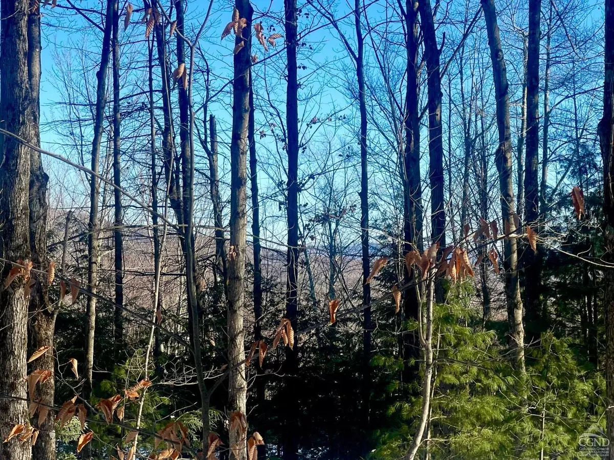 Jewett, NY 12444,0 Tower Mountain RD