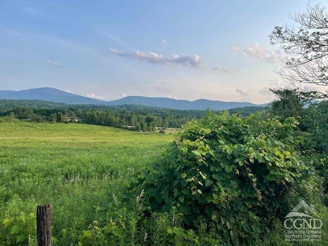 East Durham, NY 12427,241 Stonitch Road