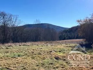 Ashland, NY 12407,573 Sutton Hollow Road