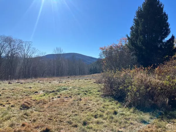 Ashland, NY 12407,573 Sutton Hollow Road