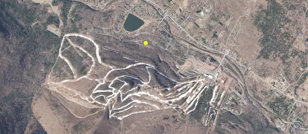 Hunter, NY 12442,181 Mountain DR