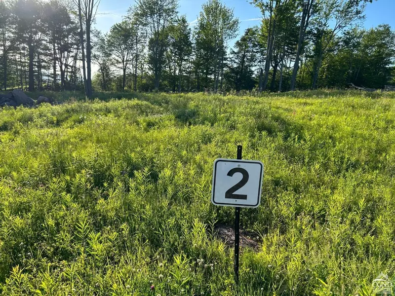 0 Ruth Court #2, Hunter, NY 12442