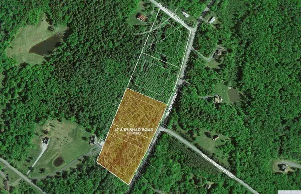 East Jewett, NY 12444,47 Shad RD