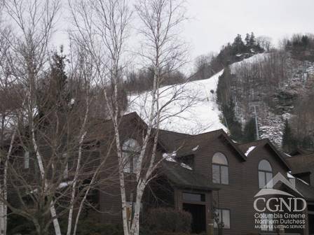 Hunter, NY 12442,64 Liftside DR #E-5