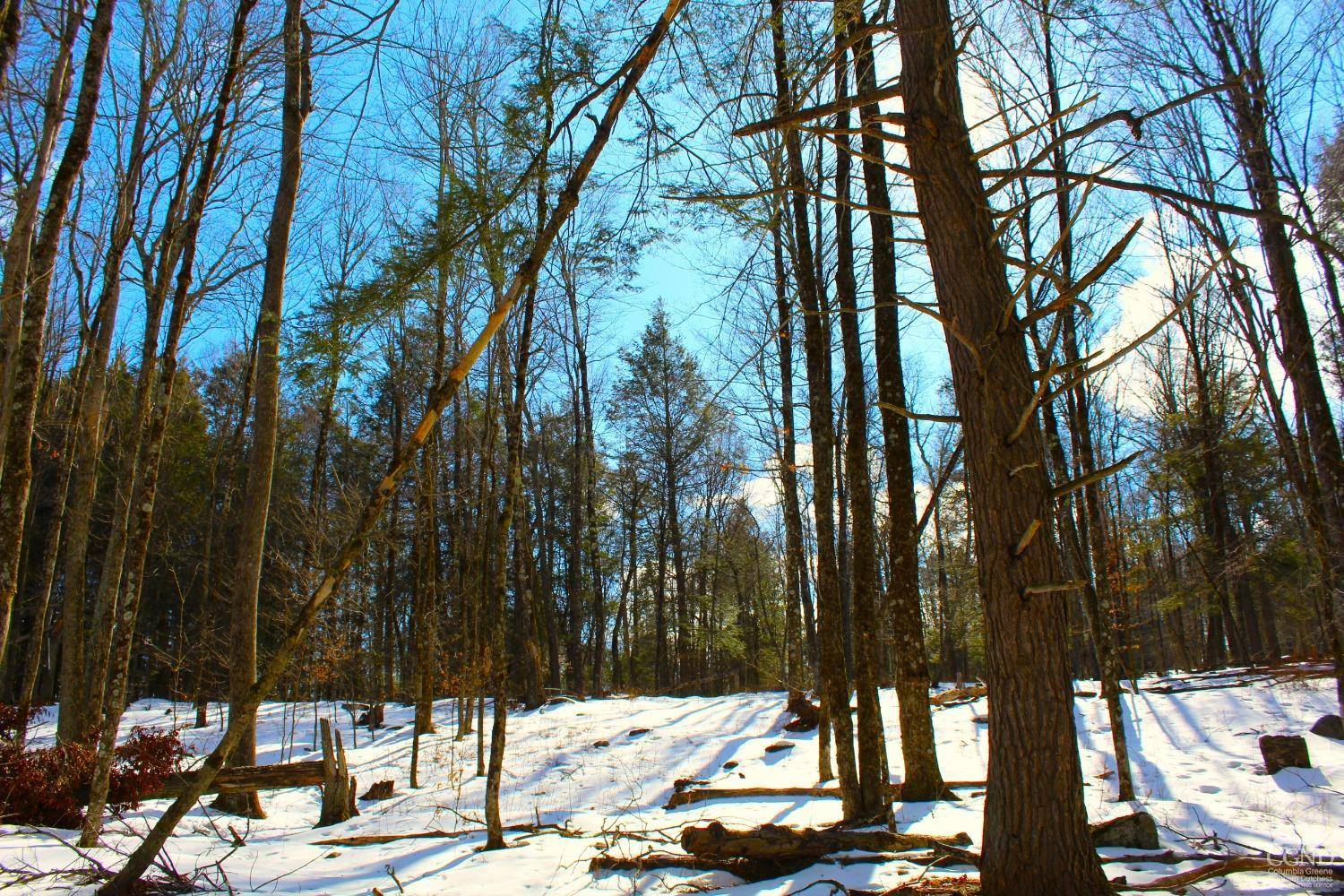 Lexington, NY 12468,380 Terrace Drive