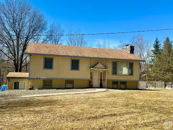 317 County 21 RD, Windham, NY 12496