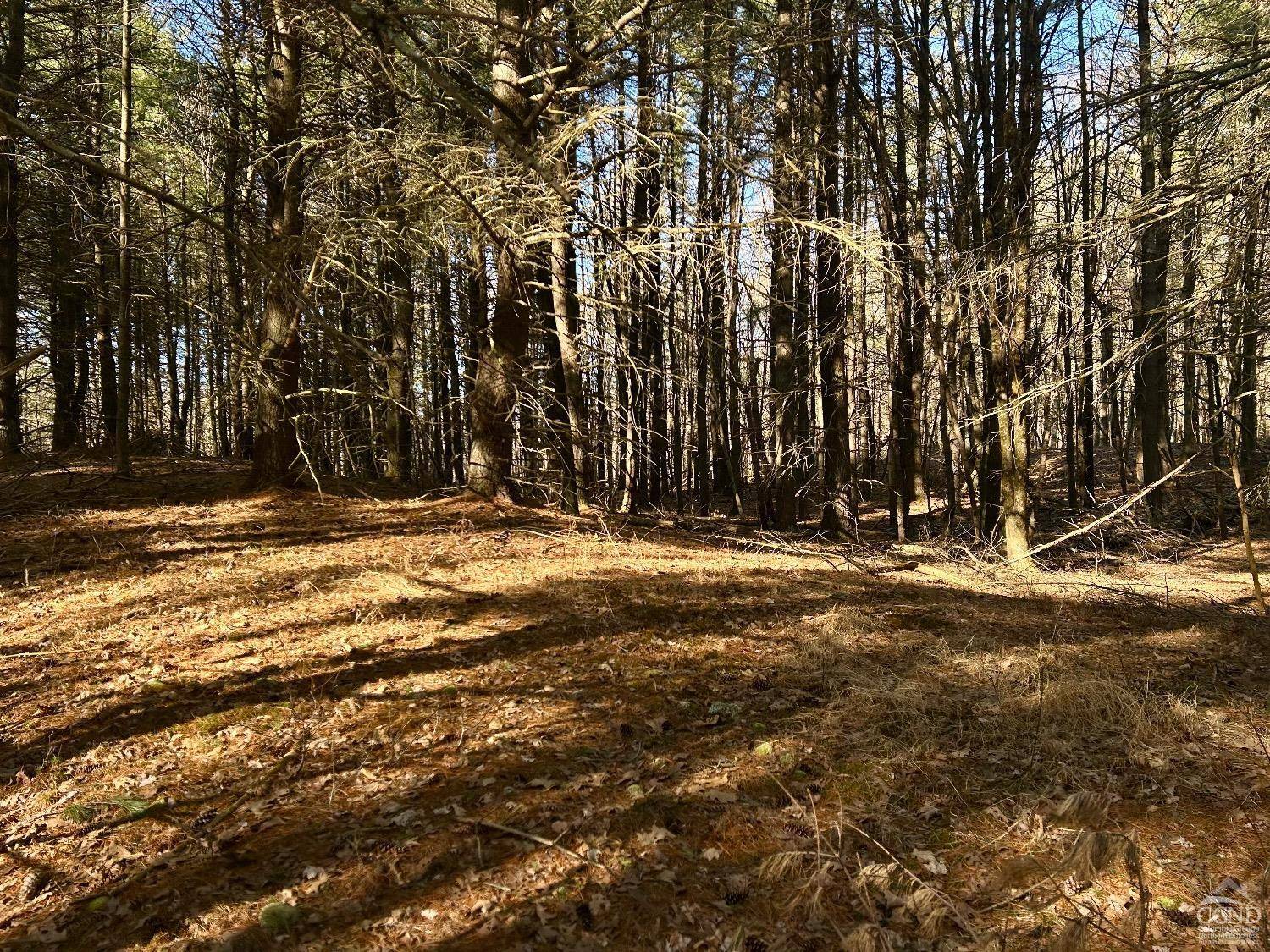 Taghkanic, NY 12502,844 County Route 27