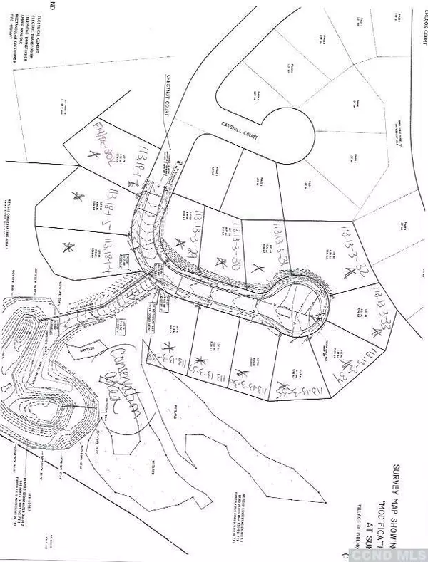 66 Chestnut CT, Claverack, NY 12565