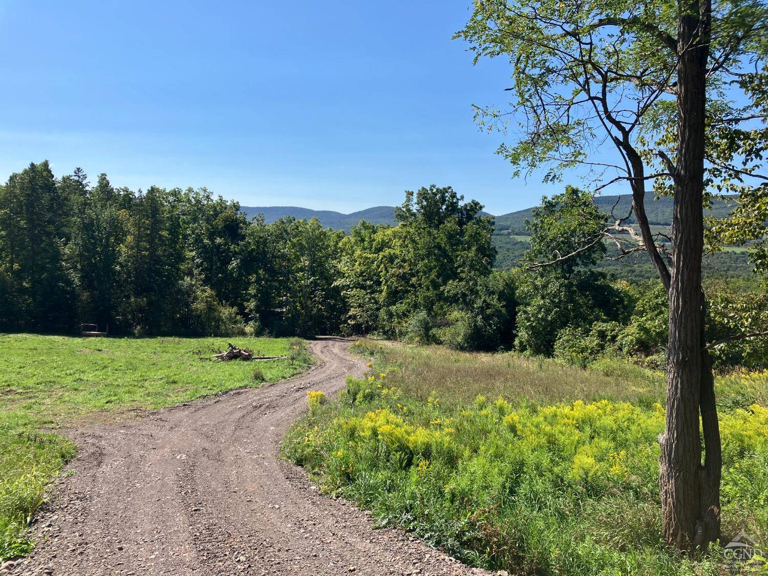 Durham, NY 12422,0 County Route 20 #37