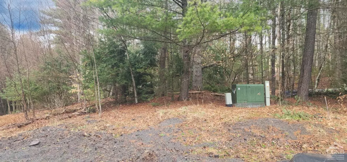 Jewett, NY 12444,0 Deer Valley RD