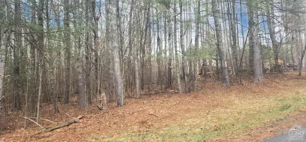 Jewett, NY 12444,0 Deer Valley RD