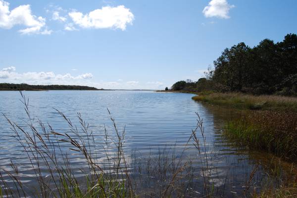 West Tisbury, MA 02575,160 Plum Bush Point Road