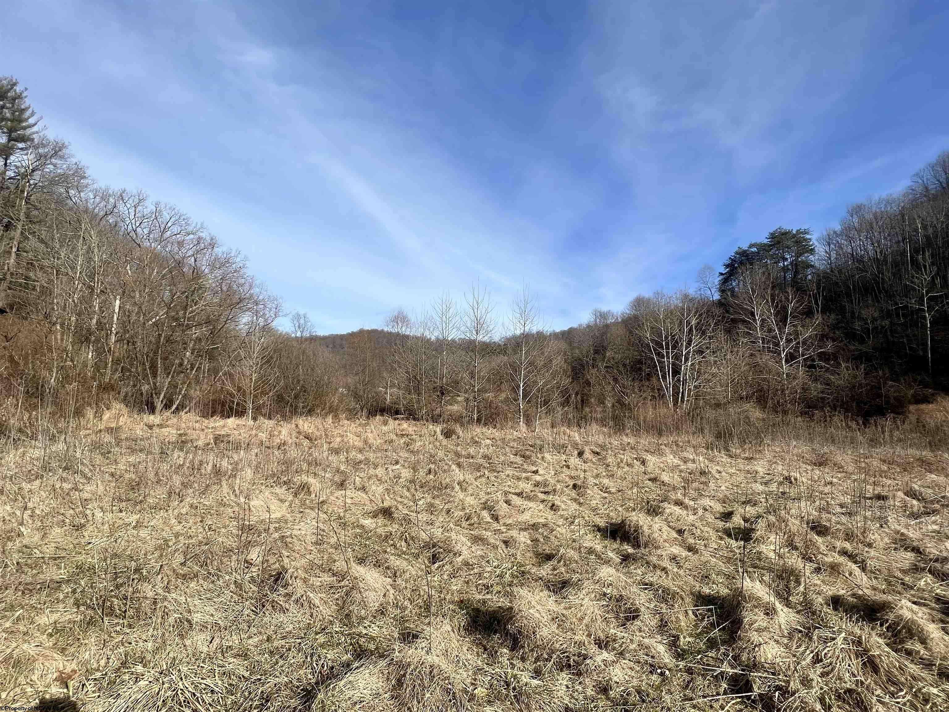 TBD Beverlin Fork, Center Point, WV 26339