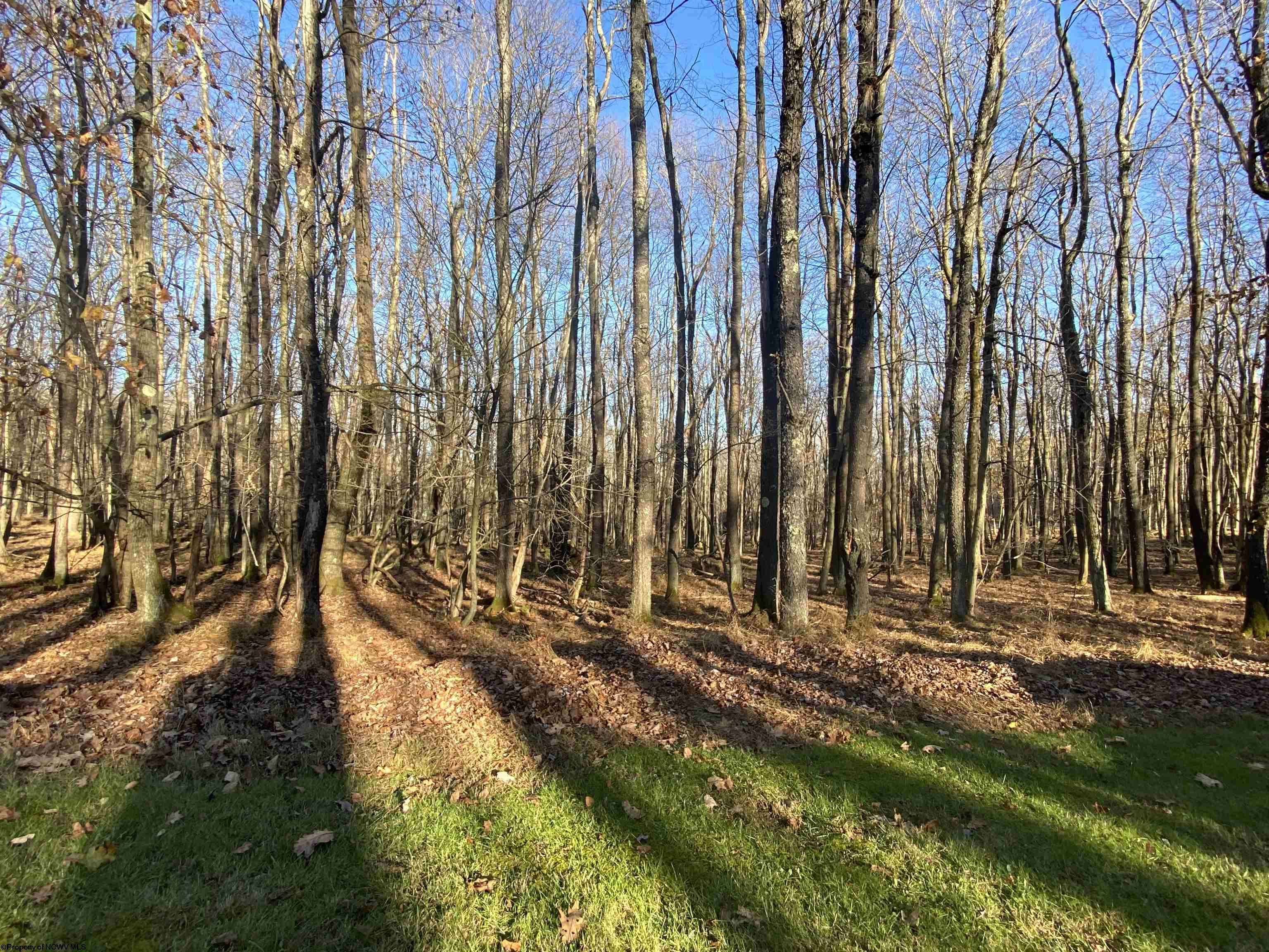 Lots 122 & 123 Goldenrod, Terra Alta, WV 26764