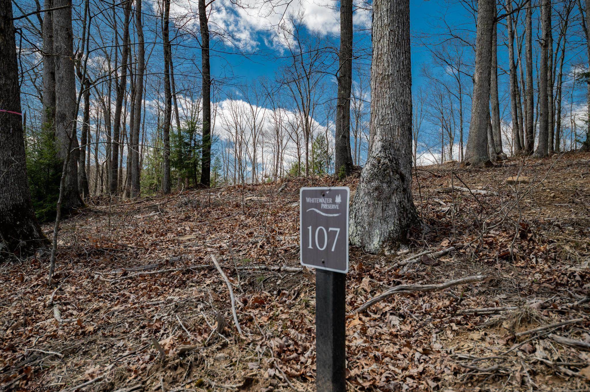 Lot 107 Whitewater Preserve, Bruceton Mills, WV 26525