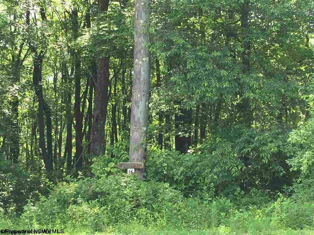 Lot 16 N Appalachia, Hazelton, WV 26525