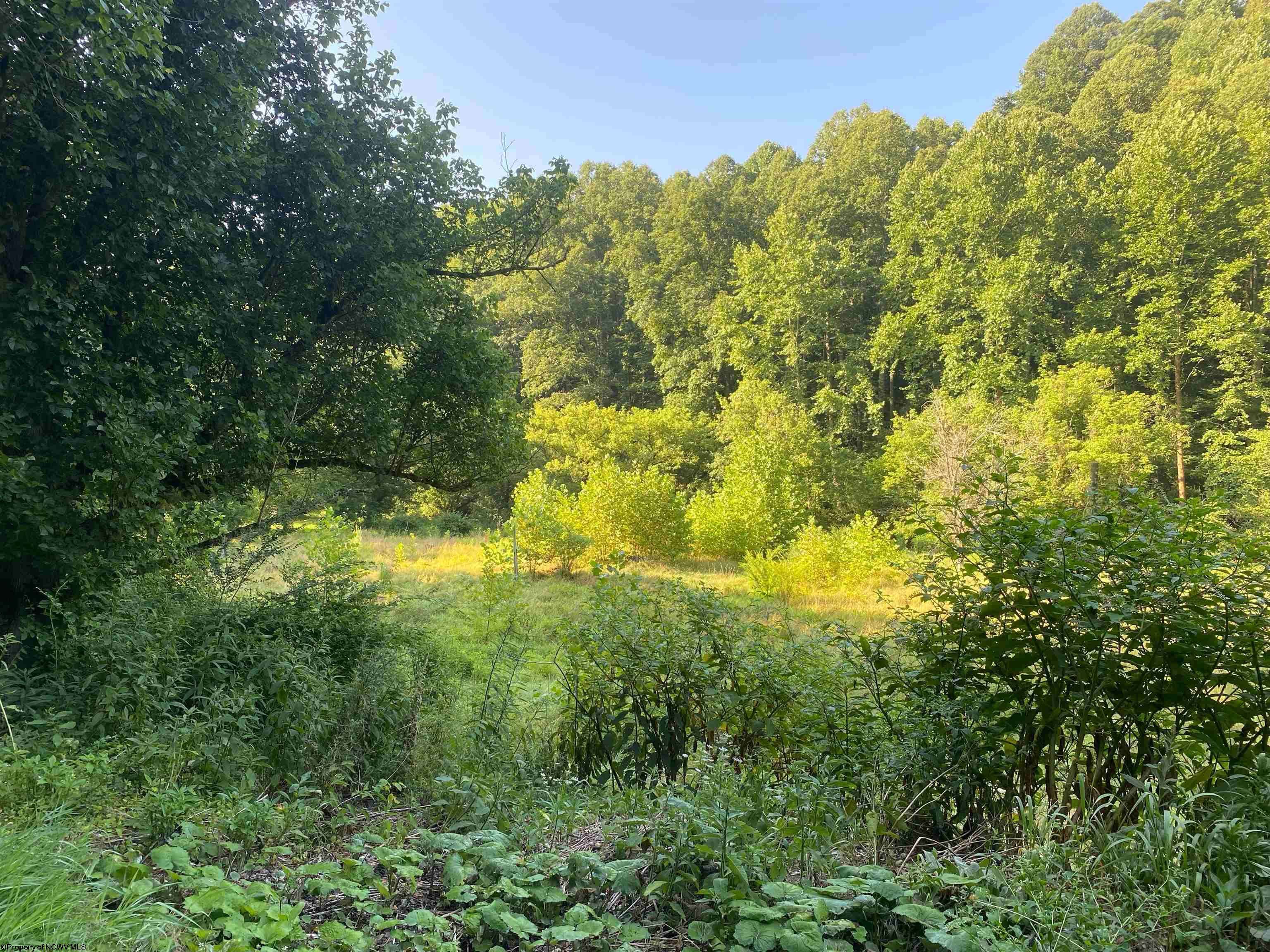 2381 Vadis, Alum Bridge, WV 26321