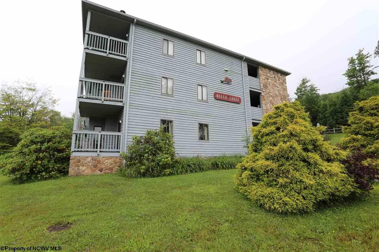 1240 Beech Lodge, Davis, WV 26260