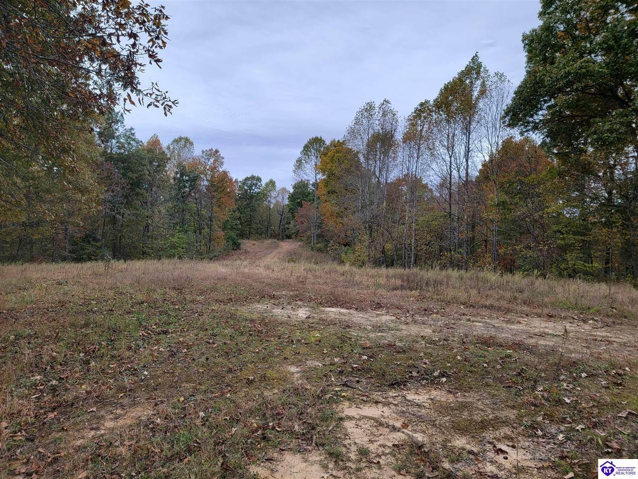 Tract 4 Mt Sherman Ward Road, Magnolia, KY 42757-0000